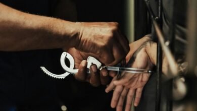 fraud detection authority regulations