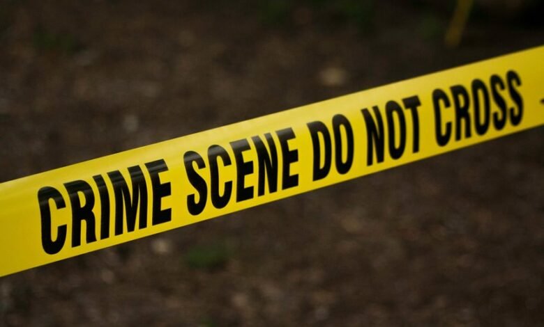 fraud monitoring enforcement bureau