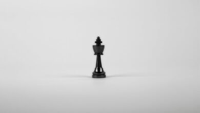 fraud monitoring intelligence oversight