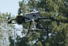 security compliance surveillance branch