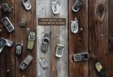 telecommunication oversight and security