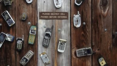 telecommunication oversight and security